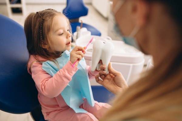 Common Procedures Offered By A Kid Friendly Dentist